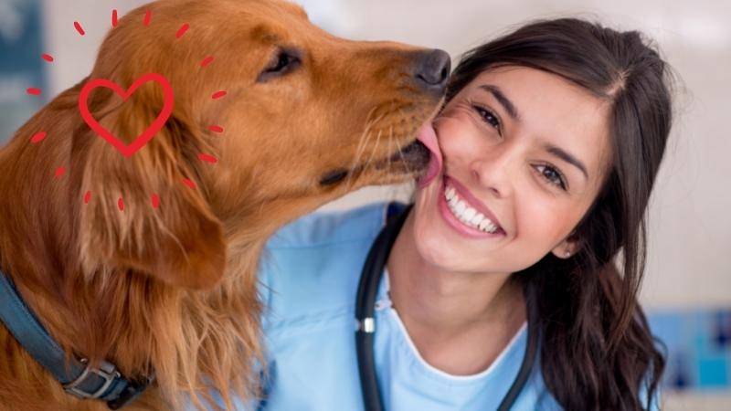 dog bad breath home remedy