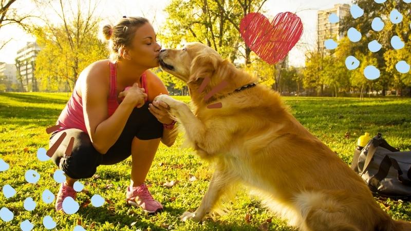 get rid of dog bad breath