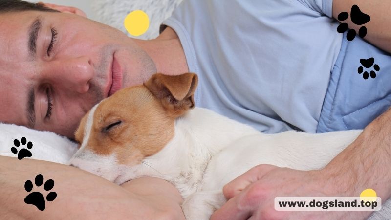 7 Benefits of Having a Dog – Why Dog Makes Your Life Safer