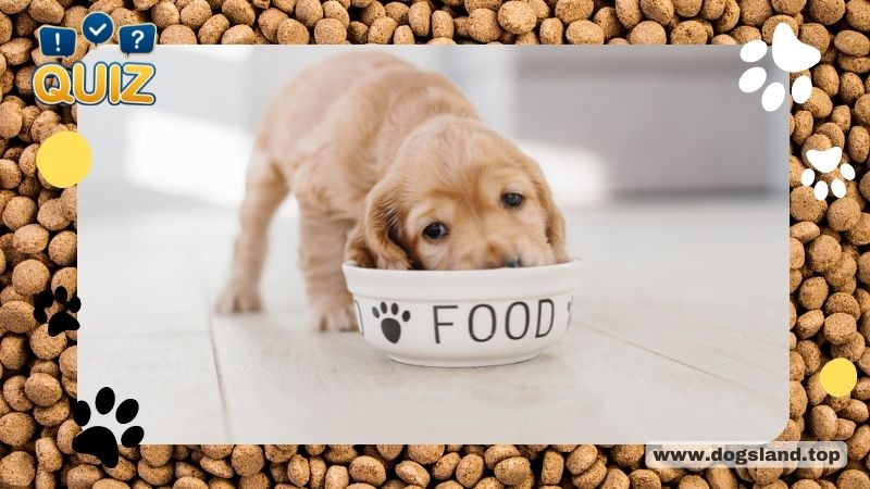 Do You Know These Facts About Dog Food?
