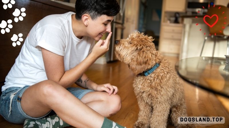 How to Socialize Your Puppy and Why It’s So Important