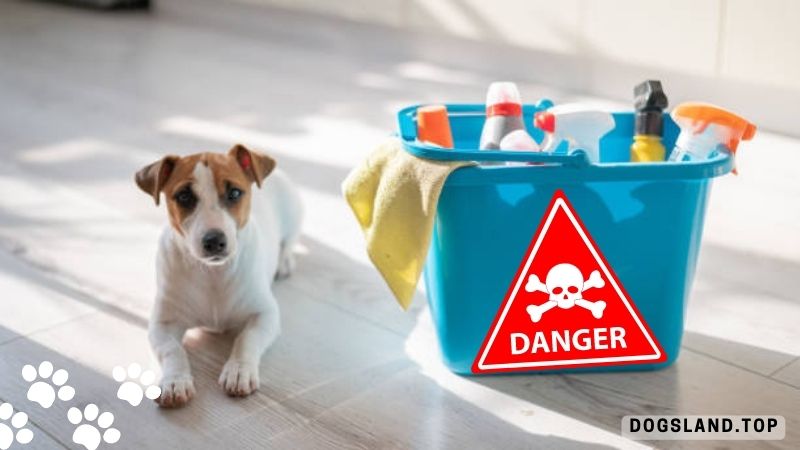 The 10 Home Dangers That Can Kill Your Puppy