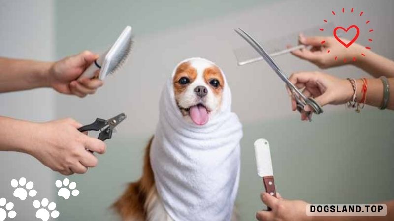 7 Steps for Dog Grooming at Home